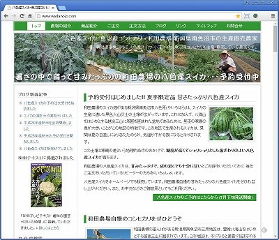 和田農場様のホームページで八色産スイカの予約受付開始